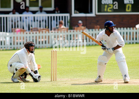 Village cricket a Exhall, Warwickshire, Inghilterra, Regno Unito Foto Stock