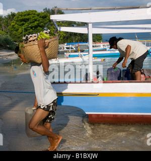 Indonesia Lombok l'isola di Gili Air uomo che porta di fornitura di generi alimentari da barca in grossa cesta sulle spalle Foto Stock