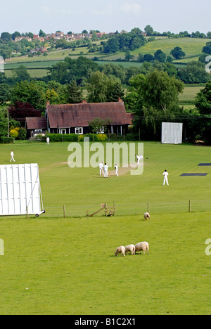 Village cricket a Exhall, Warwickshire, Inghilterra, Regno Unito Foto Stock