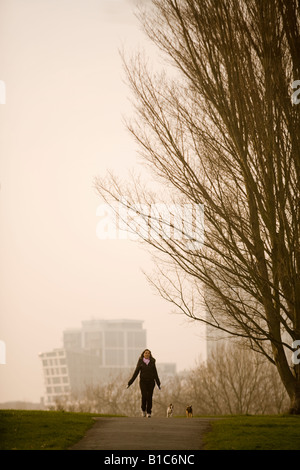 Donna che cammina i suoi cani su Primrose Hill Londra 2008 Foto Stock