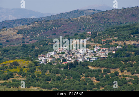 Vista sugli uliveti dal villaggio di Ano Viannos sulle pendici meridionali del monte Dikti sul Mediterraneo greca isola di Creta Foto Stock