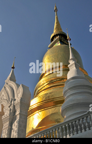 Golden Chedi del Wat Suan Dok tempio, Thailandia Chiang Mai Chedi Foto Stock