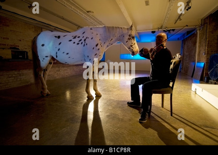 L'uomo serenate a cavallo con il violino nel teatro come parte del Festival di Brighton Foto Stock