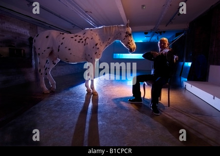 L'uomo serenate a cavallo con il violino nel teatro come parte del Festival di Brighton Foto Stock