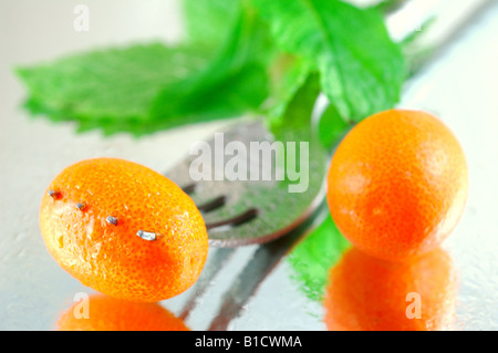 Fresche, refrigerate kumquat con menta su un sfondo riflettente con una profondità di campo ridotta Foto Stock