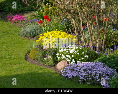 Golden alyssum (aurinia saxatilis syn. alyssum saxatile), moss phlox (phlox subulata), evergreen candytuft (iberis sempervirens), uva armeno Foto Stock