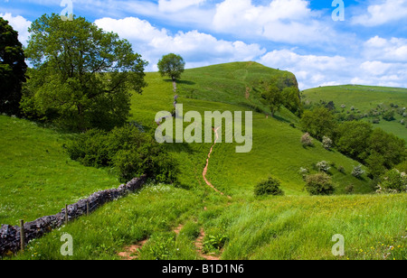 Veduta della valle del collettore al vertice del Thor caverna della rupe nel Parco Nazionale di Peak District Staffordshire Foto Stock