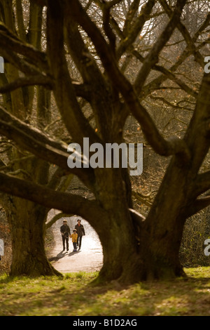 Una famiglia a piedi su Hampstead Heath Londra Foto Stock