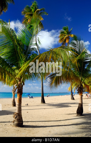 Luquillo Beach (Balneario Luquillo) & Mar Sin Barreras in Luquillo, Puerto Rico Foto Stock