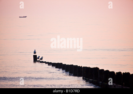 Pennelli e mare alba Cromer Foto Stock