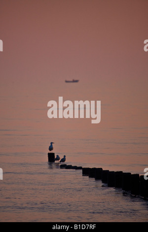 Pennelli e mare alba Cromer Foto Stock