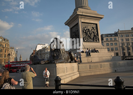 Statua di Lion e la base della colonna di Nelson, Trafalgar Square, Londra Foto Stock