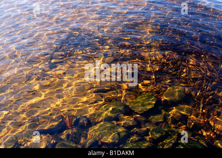 In autunno i giochi di luce sulla superficie dell'acqua Foto Stock