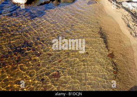 In autunno i giochi di luce sulla superficie dell'acqua Foto Stock