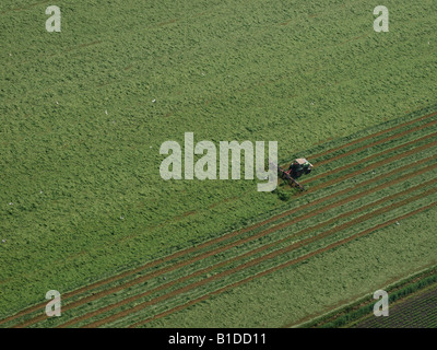Il trattore nel campo ribaltamento di erba tagliata che diventerà il fieno Noord Brabant Paesi Bassi vista aerea Foto Stock