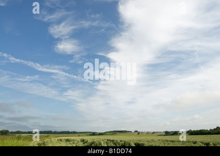 Cirrus nubi su terreni agricoli, Indre-et-Loire, Francia. Foto Stock