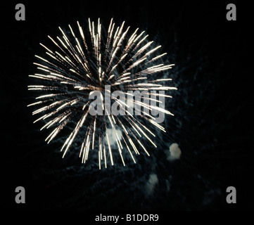 Nuovo anno fuochi d'artificio Foto Stock