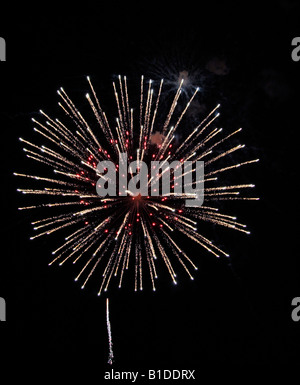 Nuovo anno fuochi d'artificio Foto Stock