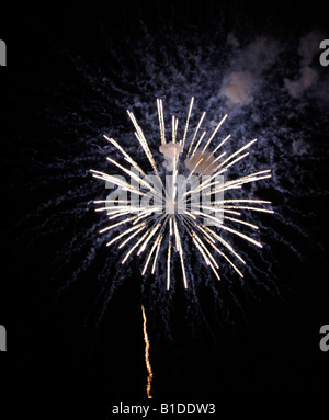 Nuovo anno fuochi d'artificio Foto Stock