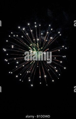 Nuovo anno fuochi d'artificio Foto Stock