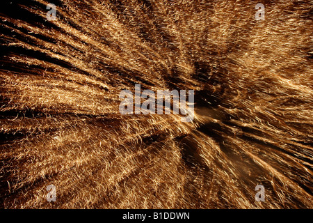 Nuovo anno fuochi d'artificio Foto Stock