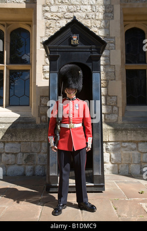 Royal Guard a Torre di Londra Inghilterra Gran Bretagna REGNO UNITO Foto Stock