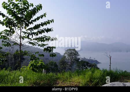 Lake Kenyir in Terengganu, Malaysia. Foto Stock
