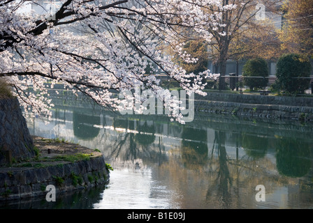 Primavera a Kyoto, in Giappone. Il canale nei pressi di Okazaki Park in fiore di ciliegio stagione Foto Stock