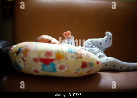 Bambino di quattro mesi boy guardando fuori di un neonato un cuscino di sostegno su un vecchio divano in pelle,baby è metà asiatici e caucasici metà Foto Stock