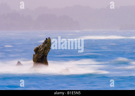 Vento onde guidati crash su rocky point in tempesta Oceano Pacifico Foto Stock