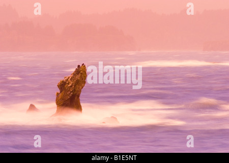 Vento onde guidati crash su rocky point in tempesta Oceano Pacifico Foto Stock