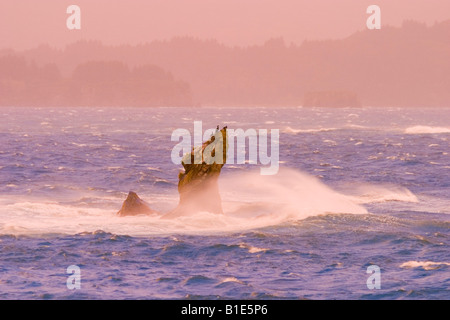 Vento onde guidati crash su rocky point in tempesta Oceano Pacifico Foto Stock