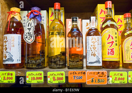 Okinawa vino di serpente o Habushu sul display in uno dei molti turisti in negozi di souvenir Sul Kokusai Dori, Naha, Okinawa, in Giappone Foto Stock