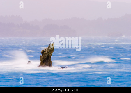 Vento onde guidati crash su rocky point in tempesta Oceano Pacifico Foto Stock