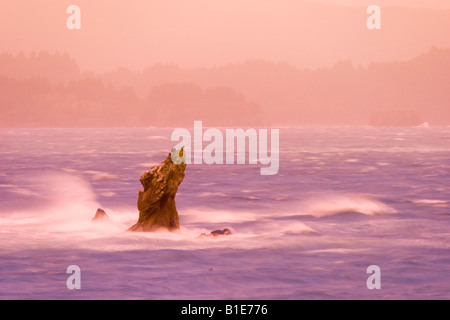 Vento onde guidati crash su rocky point in tempesta Oceano Pacifico Foto Stock