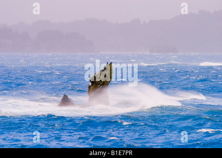 Vento onde guidati crash su rocky point in tempesta Oceano Pacifico Foto Stock