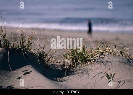 Le dune di sabbia e spiaggia erba w/persona camminando lungo il surf in distanza baia poco profonda Terranova in Canada Foto Stock