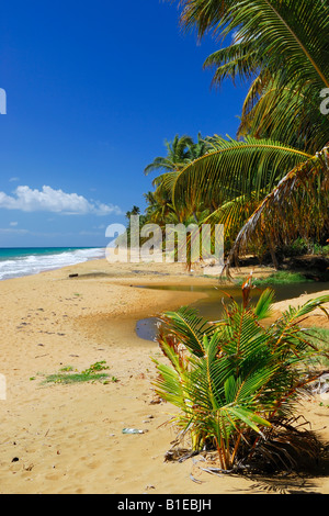 La bella e veloce di Los Pinos Beach vicino Maunabo nel sud est di Porto Rico Foto Stock