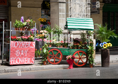 Fiori per la Festa delle madri, fiori in vendita, carretto con ruote rosse, venditore di fiori per la strada a la Valletta Malta Foto Stock