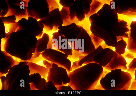 La combustione di carbone in un caminetto Foto Stock