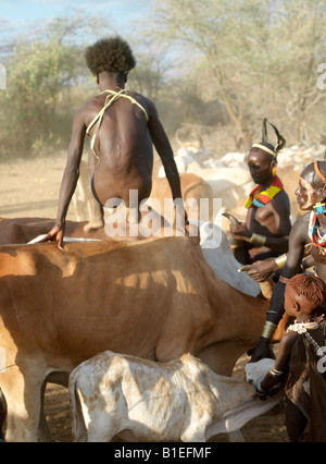 Nel tardo pomeriggio, un giovane Hamar uomo passa al di sopra della sua famiglia tori durante un "salto del Bull' cerimonia. Foto Stock