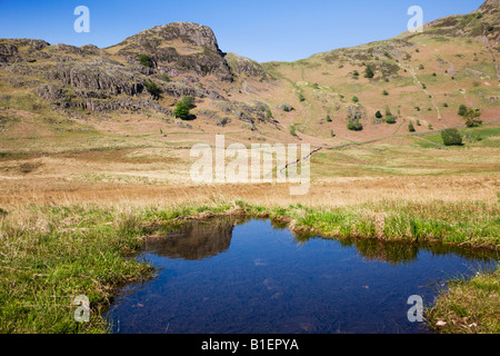 Piccolo Rockpool riflettendo il cielo blu a Blea Tarn guardando verso 'Side Pike' Mountain, il 'Lake District' Cumbria Inghilterra England Regno Unito Foto Stock