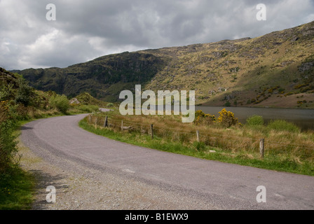 Una stretta strada di campagna che si snodano attraverso la valle di Gougane Barra, County Cork, Irlanda Foto Stock