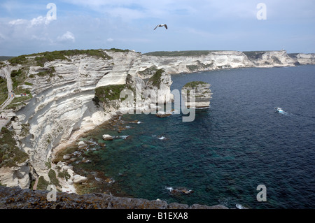 Scogliere calcaree a Bonifacio, Corsica, Francia Foto Stock