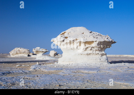 A forma di fungo formazioni di gesso nel Deserto Bianco Egitto s deserto occidentale Foto Stock