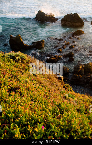 Onde infrangersi su scogli lungo la costa della California. Foto Stock