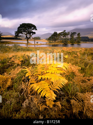 Autunno a Loch Tulla, Highlands Scozzesi. La Scozia. Foto Stock