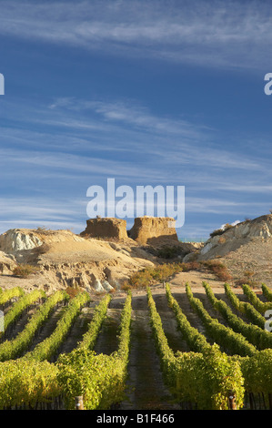 Mt difficoltà vigneto in autunno e la storica Gold Sluicings Bannockburn Central Otago Isola del Sud della Nuova Zelanda Foto Stock