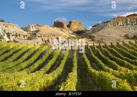 Mt difficoltà vigneto in autunno e la storica Gold Sluicings Bannockburn Central Otago Isola del Sud della Nuova Zelanda Foto Stock