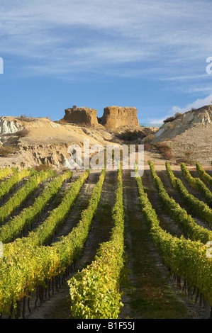 Mt difficoltà vigneto in autunno e la storica Gold Sluicings Bannockburn Central Otago Isola del Sud della Nuova Zelanda Foto Stock